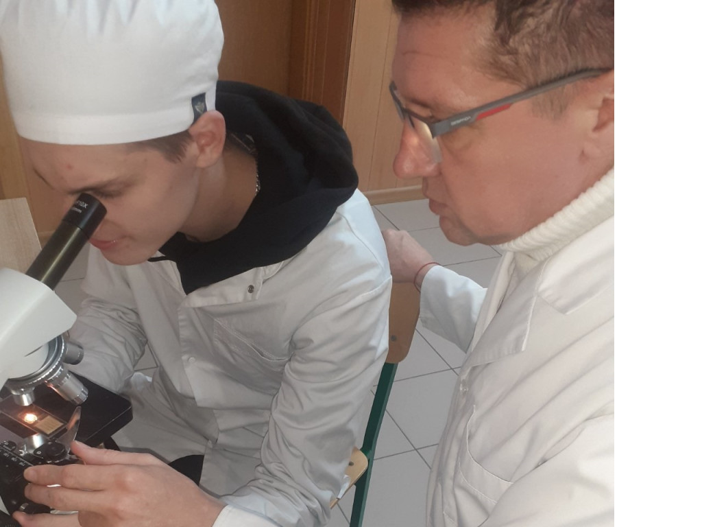 Планове засідання студентської наукової групи