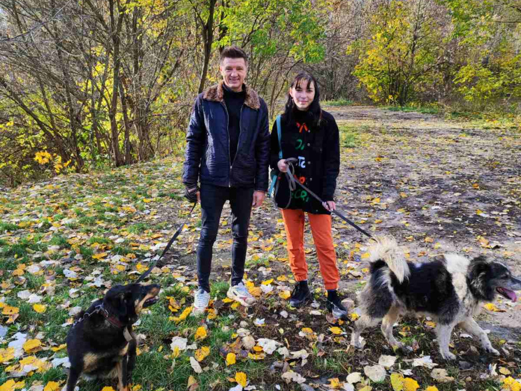Допомога у роботі тимчасовому притулку бездомних тварин.волонтерському загону "Almino"