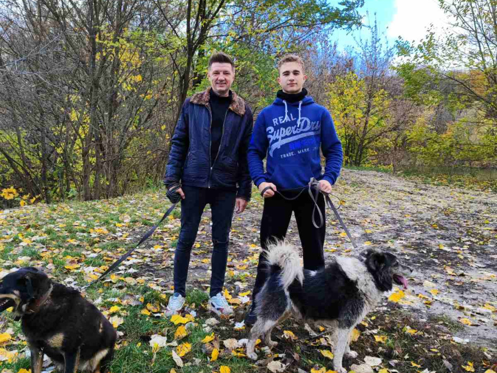 Допомога у роботі тимчасовому притулку бездомних тварин.волонтерському загону "Almino"