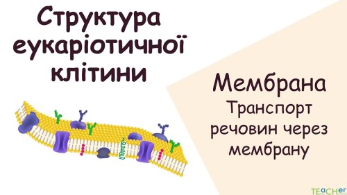 Відеотека
