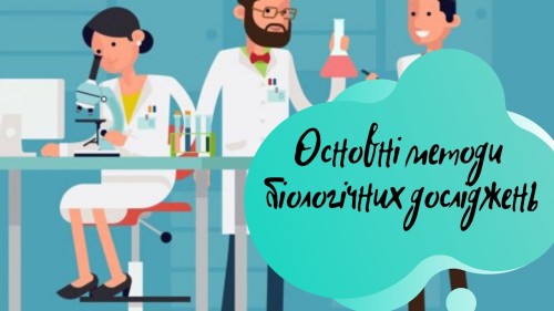 Відеотека