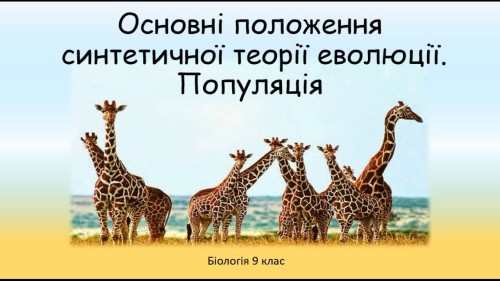 Відеотека