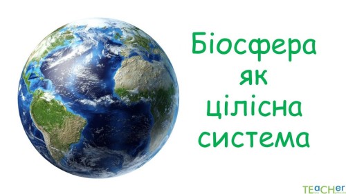 Відеотека