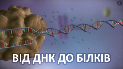 Відеотека
