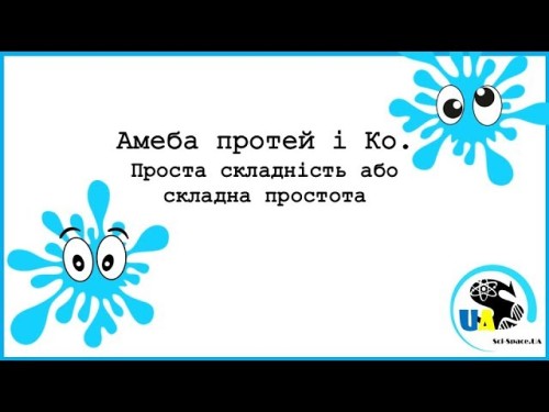 Відеотека