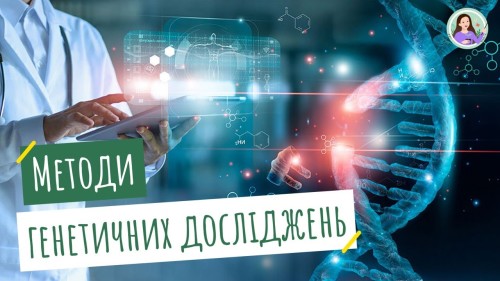 Відеотека