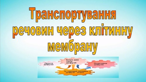 Відеотека