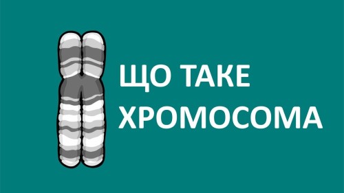 Відеотека