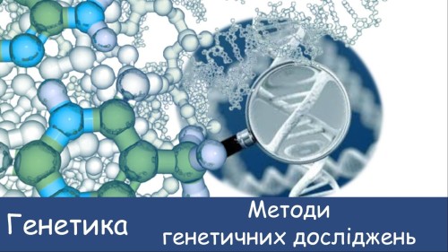 Відеотека