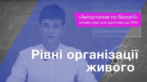Відеотека