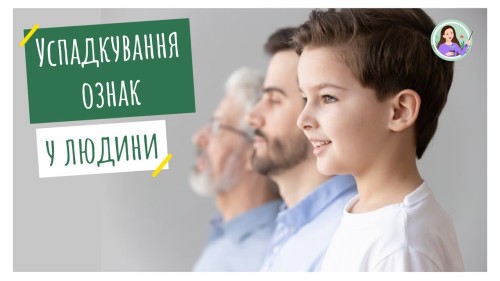 Відеотека