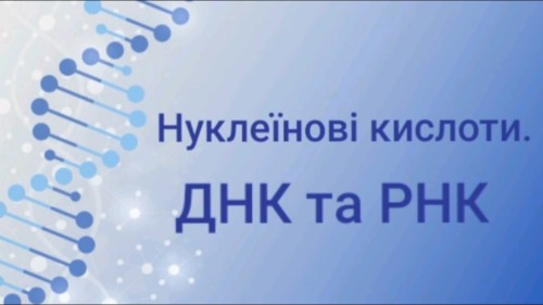 Відеотека