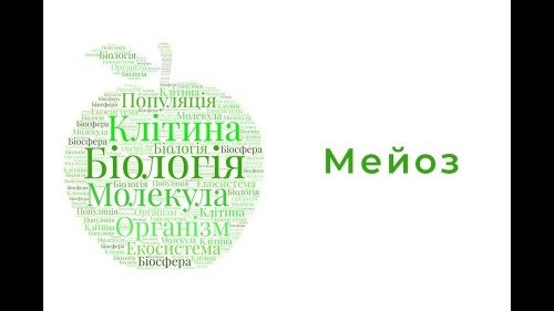 Відеотека
